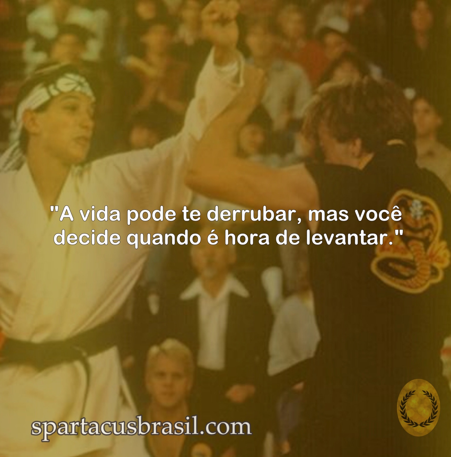 10 Melhores Frases da Saga de Filmes KARATÊ KID Spartacus Brasil 10 Melhores Frases da Saga de Filmes KARATÊ KID Spartacus Brasil